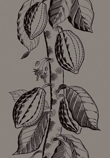 Cole & Son Wallpaper 89/11046.CS Cocoa Tan