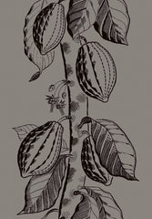 Cole & Son Wallpaper 89/11046.CS Cocoa Tan