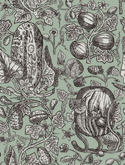 Cole & Son Wallpaper 89/3013.CS Cowcumber Mint