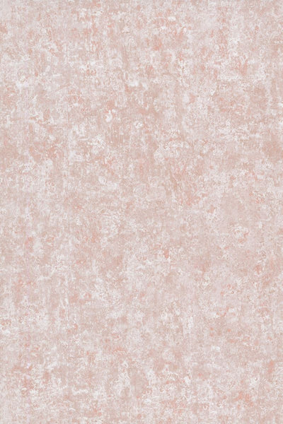 Cole & Son Wallpaper 92/11050.CS Salvage Plaster