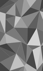 Cole & Son Wallpaper 93/13044.CS Facet Black & White