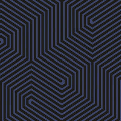 Cole & Son Wallpaper 93/5019.CS Labyrinth Blue & Black