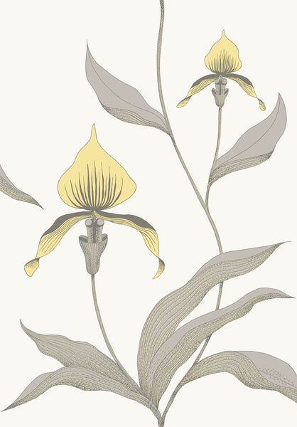 Cole & Son Wallpaper 95/10057.CS Orchid Yellow/White