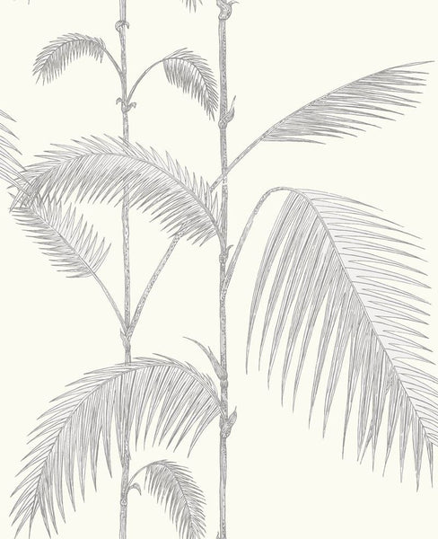 Cole & Son Wallpaper 95/1008.CS Palm Grey/White