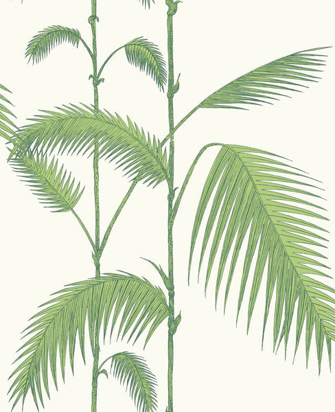 Cole & Son Wallpaper 95/1009.CS Palm Green/White