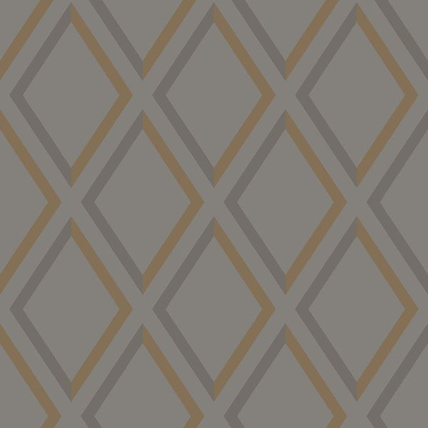 Cole & Son Wallpaper 95/11062.CS Pompeian Slate/Bronze