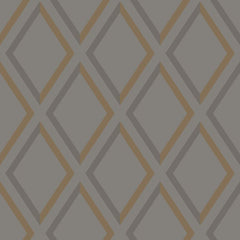 Cole & Son Wallpaper 95/11062.CS Pompeian Slate/Bronze