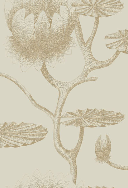 Cole & Son Wallpaper 95/4019.CS Lily Linen/Gold