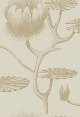 Cole & Son Wallpaper 95/4019.CS Lily Linen/Gold