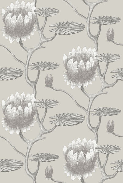 Cole & Son Wallpaper 95/4025.CS Summer Lily Taupe/White
