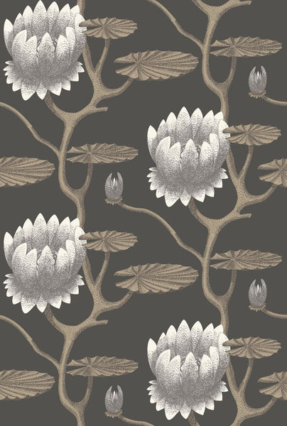 Cole & Son Wallpaper 95/4026.CS Summer Lily Blk/Wht/Gold