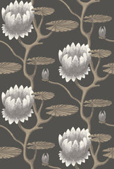 Cole & Son Wallpaper 95/4026.CS Summer Lily Blk/Wht/Gold