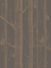 Cole & Son Wallpaper 95/5028.CS Woods & Pears Bronze/Black