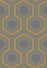 Cole & Son Wallpaper 95/6033.CS Hicks Grand Slate/Bronze