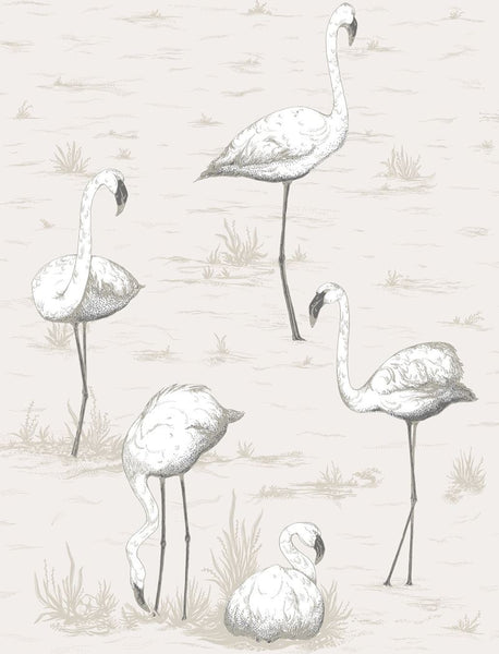 Cole & Son Wallpaper 95/8046.CS Flamingos Charcoal/Wht
