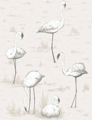 Cole & Son Wallpaper 95/8046.CS Flamingos Charcoal/Wht