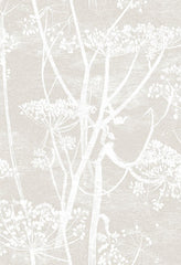 Cole & Son Wallpaper 95/9051.CS Cow Parsley Linen/White
