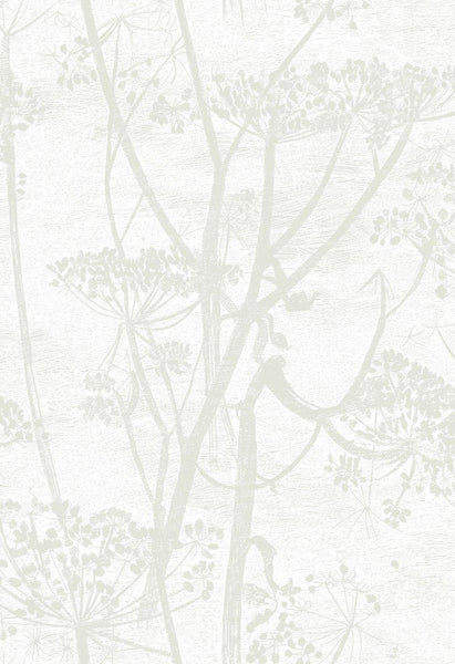 Cole & Son Wallpaper 95/9052.CS Cow Parsley White