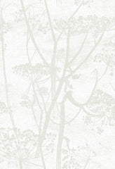 Cole & Son Wallpaper 95/9052.CS Cow Parsley White