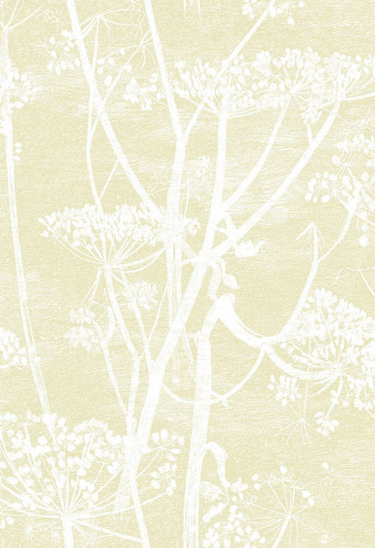Cole & Son Wallpaper 95/9053.CS Cow Parsley Straw/White