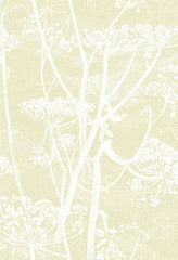 Cole & Son Wallpaper 95/9053.CS Cow Parsley Straw/White