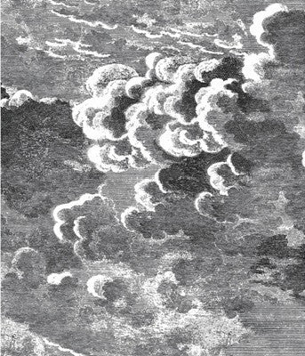 Cole & Son Wallpaper 97/2007.CS Nuvolette Black & Whit