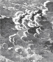 Cole & Son Wallpaper 97/2007.CS Nuvolette Black & Whit
