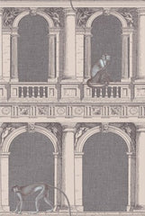 Cole & Son Wallpaper 97/8022.CS Procuratie E Scimmie Gry & Pal Bl