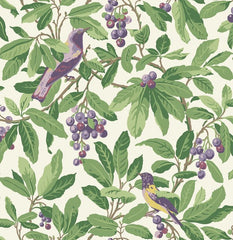 Cole & Son Wallpaper 98/1001.CS Royal Garden Green/Purple