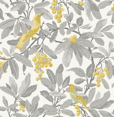 Cole & Son Wallpaper 98/1003.CS Royal Garden