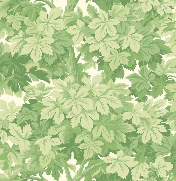 Cole & Son Wallpaper 98/10045.CS Great Vine Leaf Green