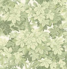 Cole & Son Wallpaper 98/10046.CS Great Vine Olive