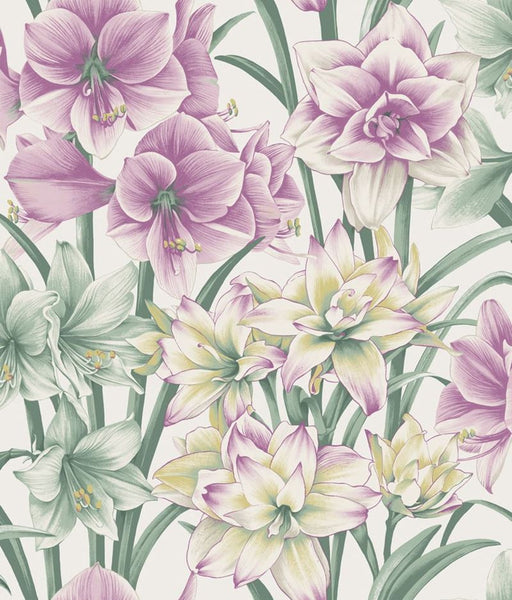 Cole & Son Wallpaper 98/6024.CS Exoticks Green/Purple