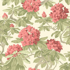 Cole & Son Wallpaper 99/4020.CS Bourlie Coral