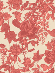 Cole & Son Wallpaper 99/7033.CS Tivoli Coral