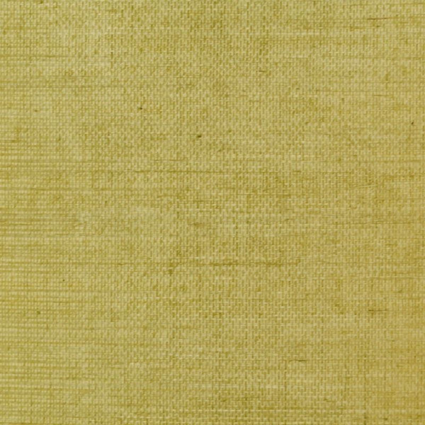 Clarence House Wallpaper 6863-12 Sisal Celery NC07