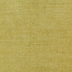 Clarence House Wallpaper 6863-12 Sisal Celery NC07