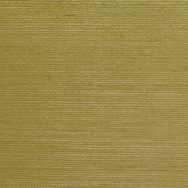 Clarence House Wallpaper 6863-19 Sisal Mid-Green NC10