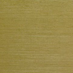 Clarence House Wallpaper 6863-19 Sisal Mid-Green NC10