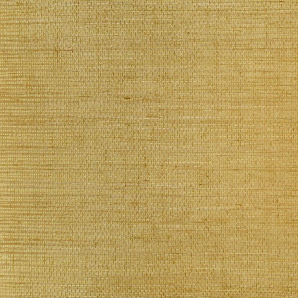Clarence House Wallpaper 6863-27 Sisal Amber NC12