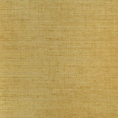 Clarence House Wallpaper 6863-27 Sisal Amber NC12
