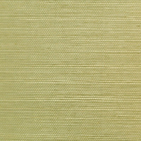 Clarence House Wallpaper 6863-28 Sisal Herb NC12