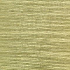 Clarence House Wallpaper 6863-28 Sisal Herb NC12