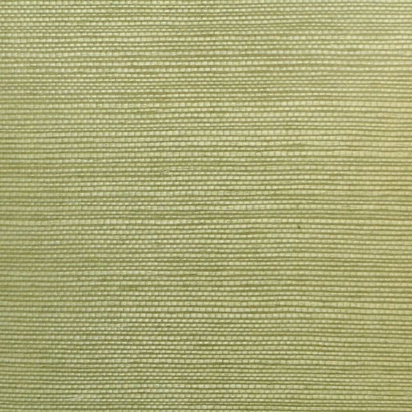 Clarence House Wallpaper 6863-29 Sisal Seafoam NC12