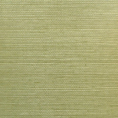 Clarence House Wallpaper 6863-29 Sisal Seafoam NC12
