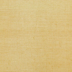 Clarence House Wallpaper 6863-2 Sisal Beige