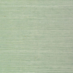 Clarence House Wallpaper 6863-30 Sisal Horizon NC12