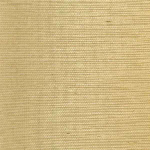 Clarence House Wallpaper 6863-4 Sisal Stone