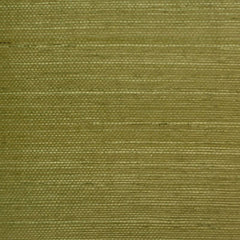 Clarence House Wallpaper 6863-9 Sisal Green Tea