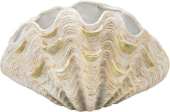 Cretaceous Shell Bowl